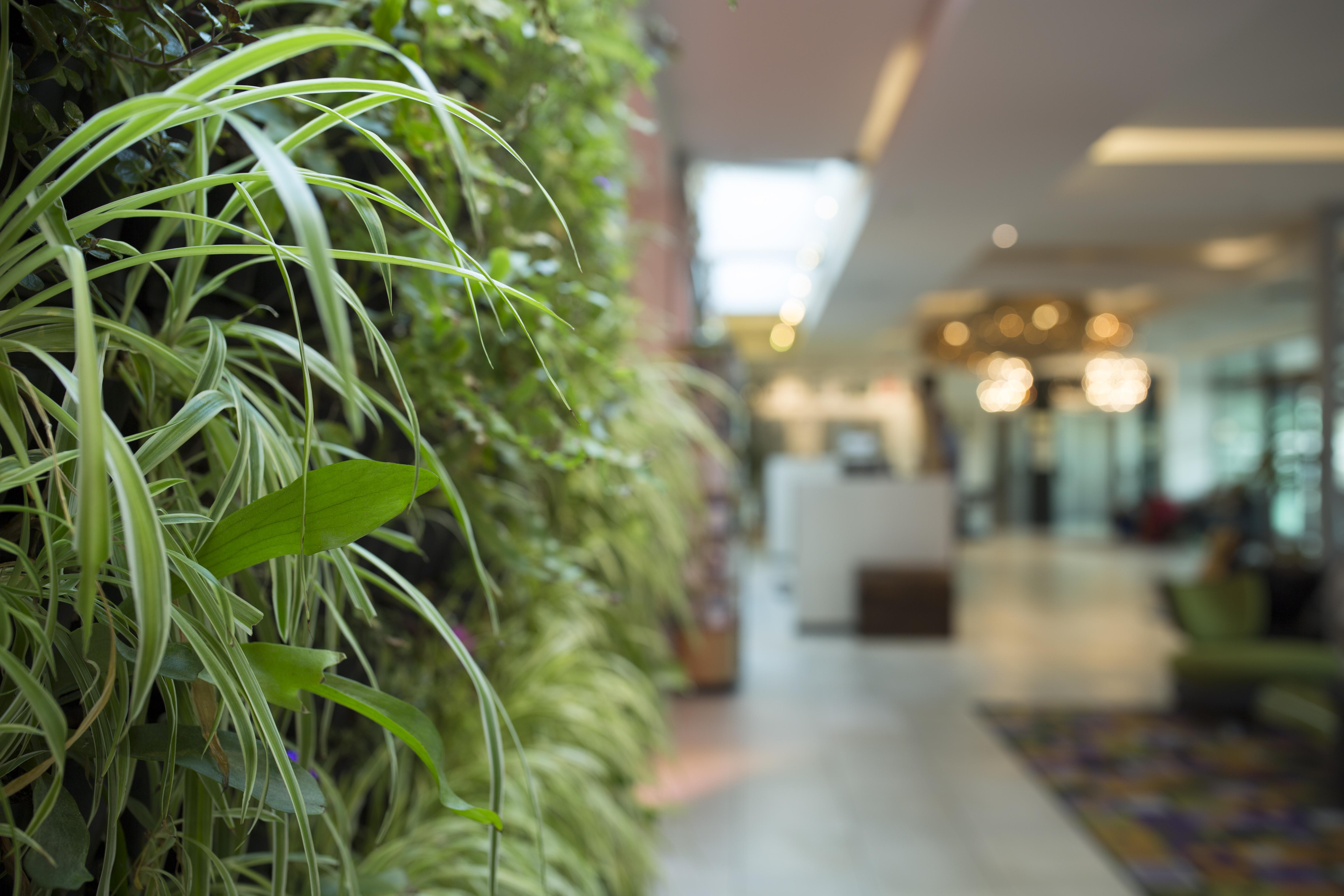 Hotel Verde Cape Town Airport Matroosfontein Екстер'єр фото